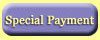 Special Payments